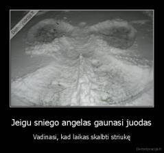 Jeigu sniego angelas gaunasi juodas - Vadinasi, kad laikas skalbti striukę