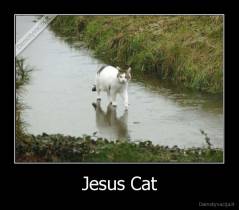 Jesus Cat - 