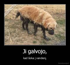 Ji galvojo, - kad šoka į vandenį.