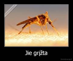 Jie grįžta - 