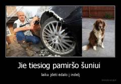 Jie tiesiog pamiršo šuniui  - laiku įdėti ėdalo į indelį