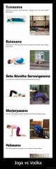 Joga vs Vodka - 