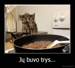 Jų buvo trys... - 