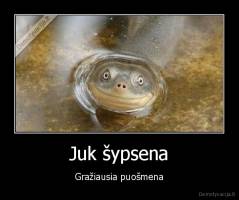 Juk šypsena - Gražiausia puošmena