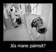 Jūs mane paimsit? - 