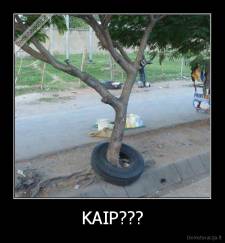 KAIP??? - 