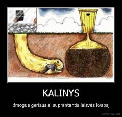 KALINYS - žmogus geriausiai suprantantis laisvės kvapą