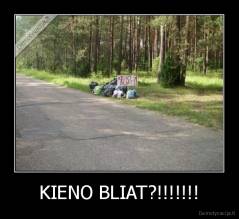 KIENO BLIAT?!!!!!!! - 