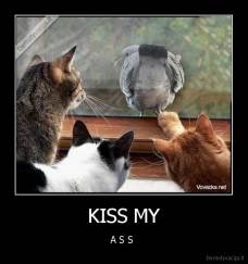 KISS MY - A S S 