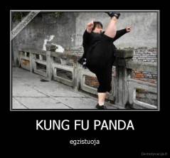 KUNG FU PANDA - egzistuoja