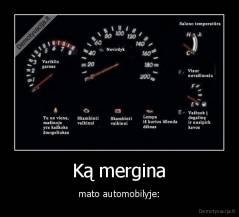 Ką mergina - mato automobilyje: