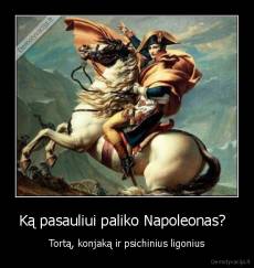 Ką pasauliui paliko Napoleonas?   - Tortą, konjaką ir psichinius ligonius