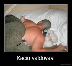 Kaciu valdovas! - 