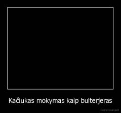 Kačiukas mokymas kaip bulterjeras - 