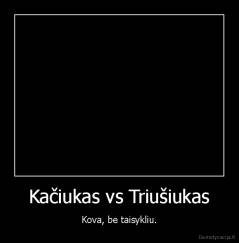 Kačiukas vs Triušiukas - Kova, be taisykliu.