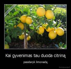 Kai gyvenimas tau duoda citriną - pasidaryk limonadą