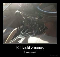 Kai lauki žmonos - iš parduotuvės