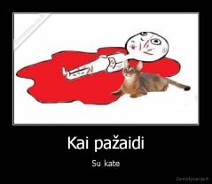 Kai pažaidi - Su kate