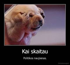 Kai skaitau - Politikos naujienas.