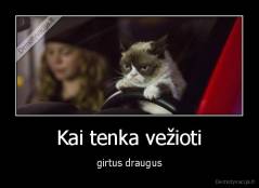 Kai tenka vežioti - girtus draugus