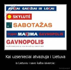 Kai uzsenieciai atvaziuja i Lietuva - is Lietuviu i savo kalba isivercia: