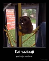 Kai važiuoji - greituoju autobusu