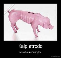 Kaip atrodo - mano kiaulė taupyklė.