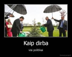 Kaip dirba - visi politikai