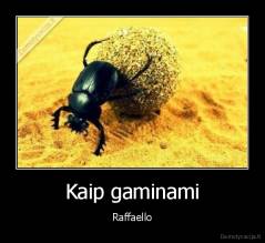 Kaip gaminami - Raffaello