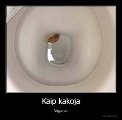 Kaip kakoja - Veganai