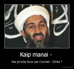 Kaip manai -  - Kas jis toks buvo per Counter - Strike ?