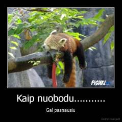 Kaip nuobodu........... - Gal pasnausiu