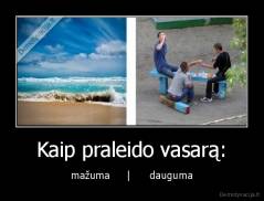 Kaip praleido vasarą: - mažuma     |      dauguma