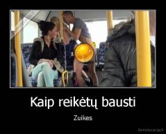 Kaip reikėtų bausti - Zuikes