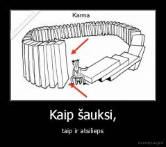 Kaip šauksi, - taip ir atsilieps