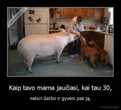 Kaip tavo mama jaučiasi, kai tau 30, - neturi darbo ir gyveni pas ją.