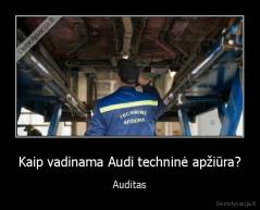 Kaip vadinama Audi techninė apžiūra? - Auditas