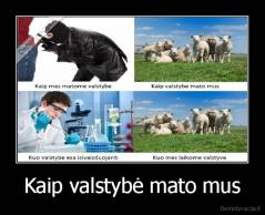 Kaip valstybė mato mus - 