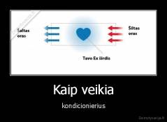 Kaip veikia - kondicionierius