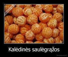 Kalėdinės saulėgrąžos - 