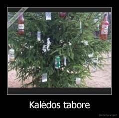 Kalėdos tabore - 