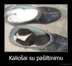 Kaliošai su pašiltinimu - 