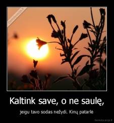 Kaltink save, o ne saulę, - jeigu tavo sodas nežydi. Kinų patarlė