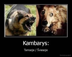 Kambarys: - Tamsoje / Šviesoje