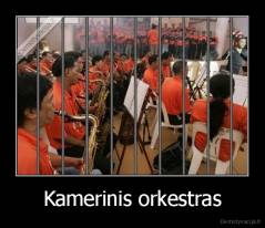 Kamerinis orkestras - 