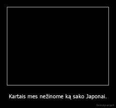 Kartais mes nežinome ką sako Japonai. - 