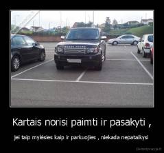 Kartais norisi paimti ir pasakyti , - jei taip mylėsies kaip ir parkuojies , niekada nepataikysi