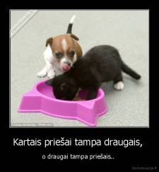 Kartais priešai tampa draugais,  - o draugai tampa priešais.. 