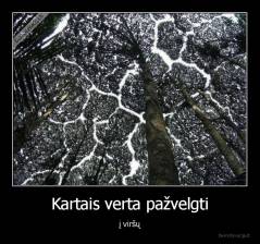 Kartais verta pažvelgti - į viršų