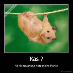 Kas ? - Aš tik mokinuos būti spider-žiurkė